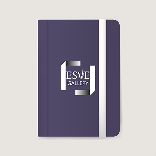 ESVE Logo Design Project Screenshot